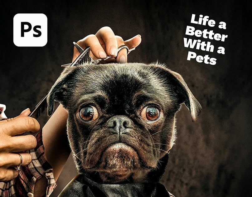 Pets Teska digital art project cover